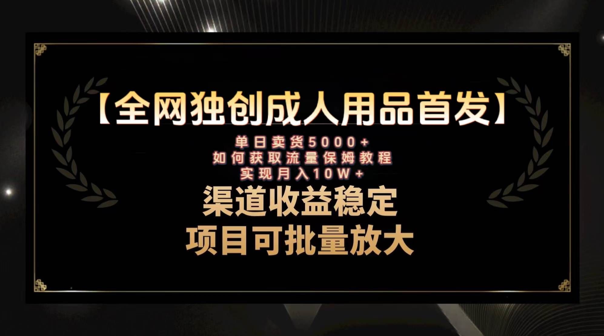 （8128期）最新全网独创首发，成人用品赛道引流获客，月入10w保姆级教程-赛德副业库