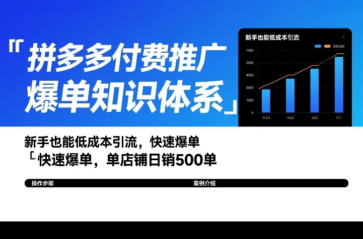 拼多多付费推广爆单知识体系,新手也能低成本引流,快速爆单,单店铺日销500单-赛德副业库