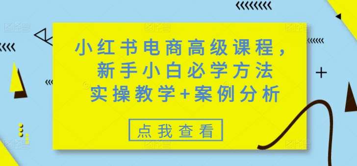 小红书电商高级课程，新手小白必学方法，实操教学+案例分析-赛德副业库