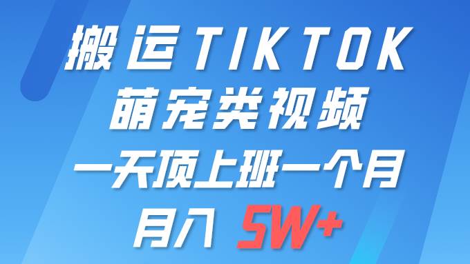 (9931期)一键搬运TIKTOK萌宠类视频 一部手机即可操作 所有平台均可发布 轻松月入5W+-赛德副业库