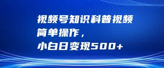 视频号知识科普视频，简单操作，小白日变现500+【揭秘】-赛德副业库