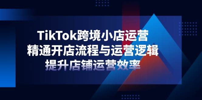 （14369期）TikTok跨境小店运营，精通开店流程与运营逻辑，提升店铺运营效率-赛德副业库