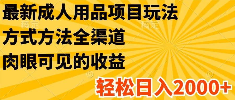 最新成人用品项目玩法，方式方法全渠道，肉眼可见的收益，轻松日入2000+-赛德副业库