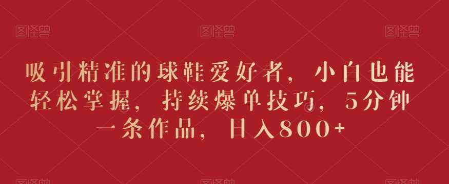 吸引精准的球鞋爱好者，小白也能轻松掌握，持续爆单技巧，5分钟一条作品，日入800+【揭秘】-赛德副业库