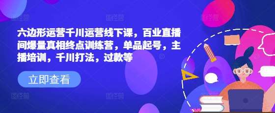 六边形运营千川运营线下课，百业直播间爆量真相终点训练营，单品起号，主播培训，千川打法，过款等-赛德副业库