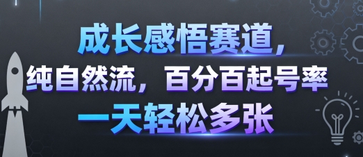 成长感悟赛道，纯自然流，百分百起号率 一天轻松多张-赛德副业库