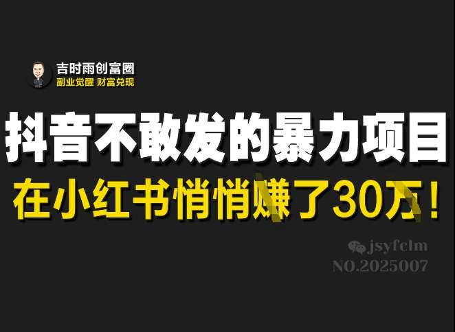 抖音不敢发的暴利项目,在小红书悄悄挣了30W-赛德副业库