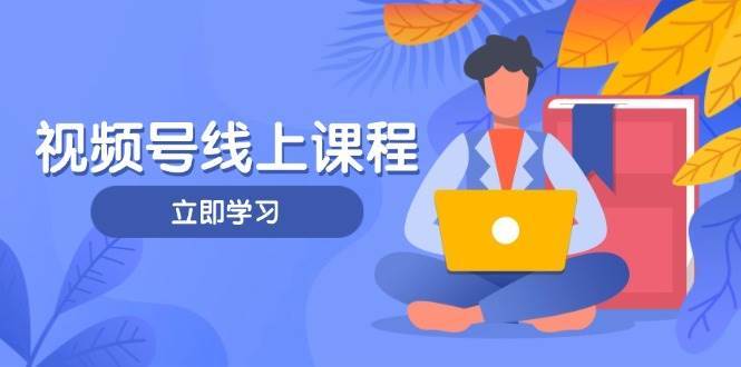 视频号实战课程，轻IP打造与运营技巧，掌握核心方法与策略-赛德副业库