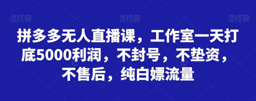 拼多多无人直播课，工作室一天打底5000利润，不封号，不垫资，不售后，纯白嫖流量-赛德副业库