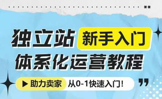 独立站新手入门体系化运营教程，助力独立站卖家从0-1快速入门!-赛德副业库