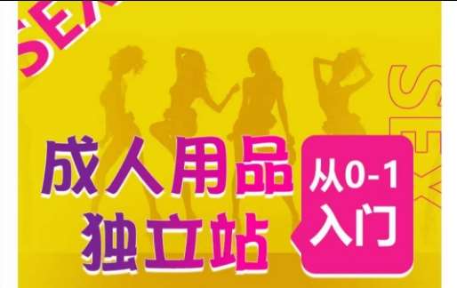 成人用品独立站从0-1入门，成品独立站运营全流程教学，七大好卖成品独立站推荐-赛德副业库