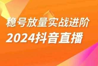稳号放量实战进阶—2024抖音直播，直播间精细化运营的几大步骤-赛德副业库