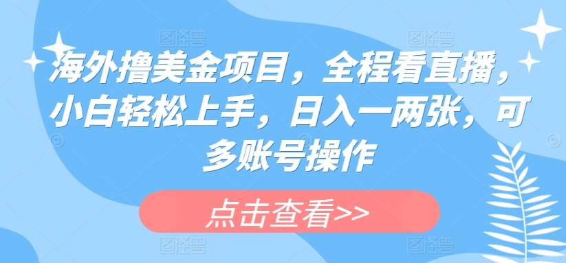 海外撸美金项目，全程看直播，小白轻松上手，日入一两张，可多账号操作【揭秘】-赛德副业库