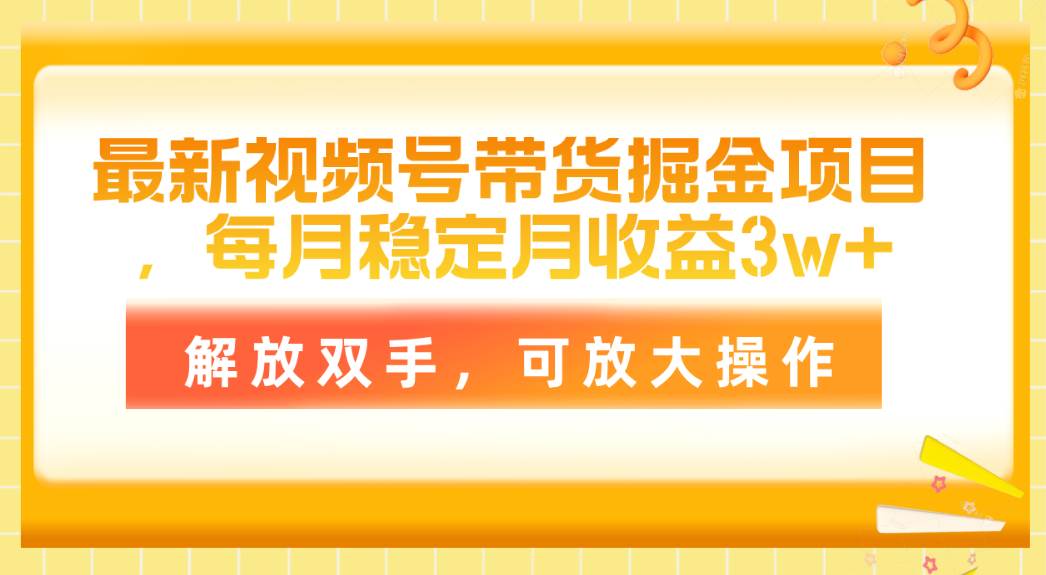 （11010期）最新视频号带货掘金项目，每月稳定月收益3w+，解放双手，可放大操作-赛德副业库