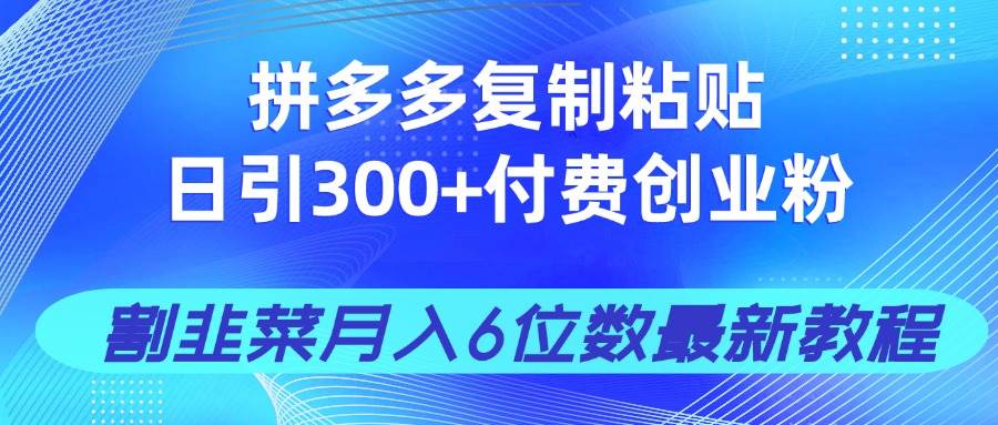 （14232期）拼多多复制粘贴日引300+付费创业粉，割韭菜月入6位数最新教程！-赛德副业库