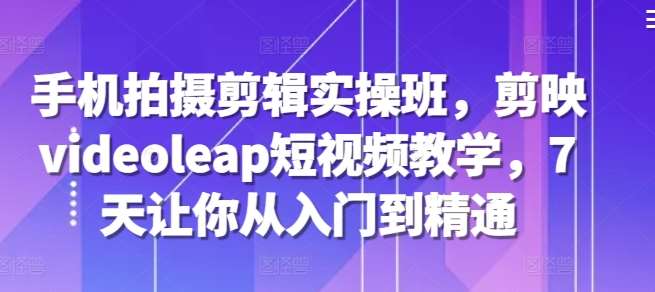 手机拍摄剪辑实操班，剪映videoleap短视频教学，7天让你从入门到精通-赛德副业库