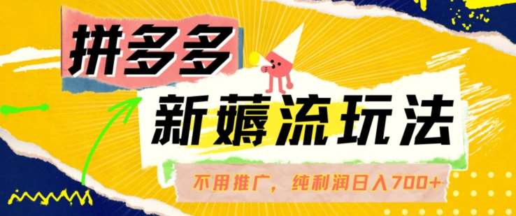拼多多最新薅流玩法，无需开车推广，纯靠自然流吃饭-单纯赚50+利润，日入700+【揭秘】-赛德副业库