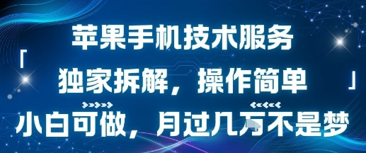 苹果手机技术服务,独家拆解,操作简单,小白可做,月过1W不是梦-赛德副业库
