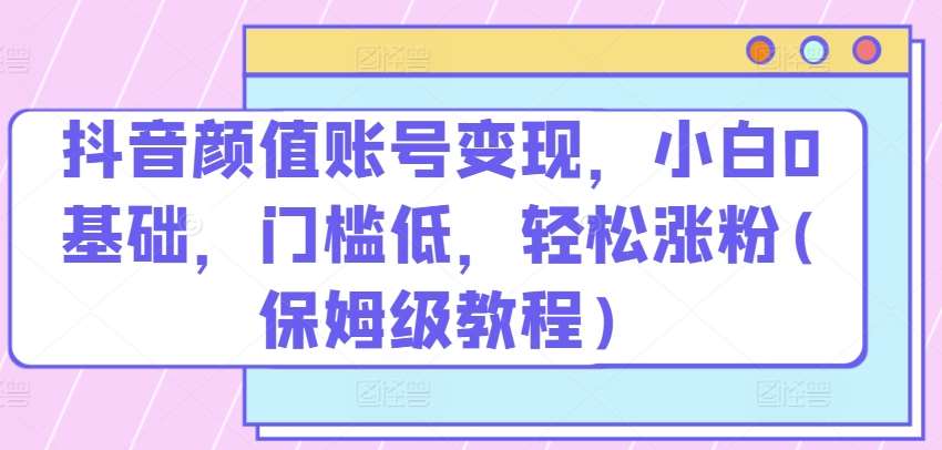 抖音颜值账号变现，小白0基础，门槛低，​轻松涨粉(保姆级教程)【揭秘】-赛德副业库