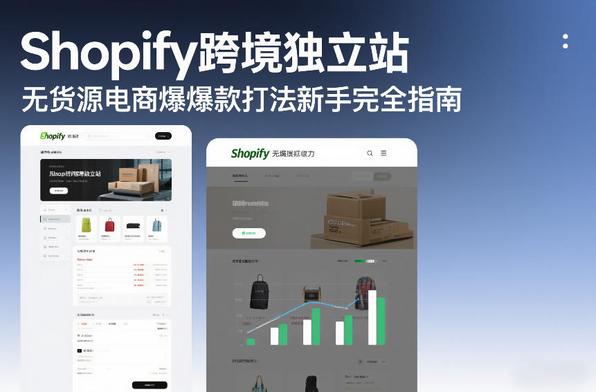 Shopify跨境独立站无货源电商爆款打法新手完全指南-赛德副业库