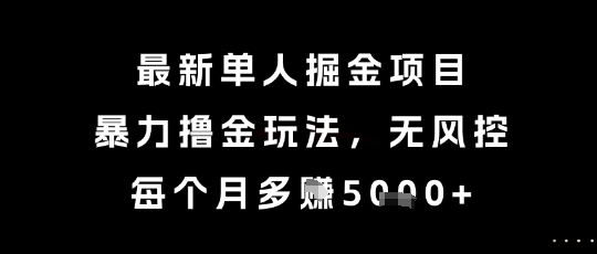 最新单人掘金项目，暴力撸金玩法，无风控，每个月多挣5k+【揭秘】-赛德副业库