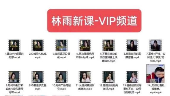 林雨新课VIP频道，玩赚私域/朋友圈/社群-赛德副业库