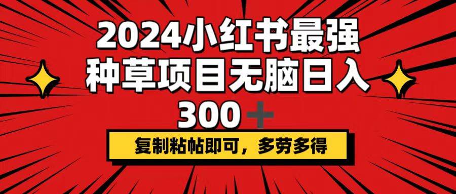 （12336期）2024小红书最强种草项目，无脑日入300+，复制粘帖即可，多劳多得-赛德副业库