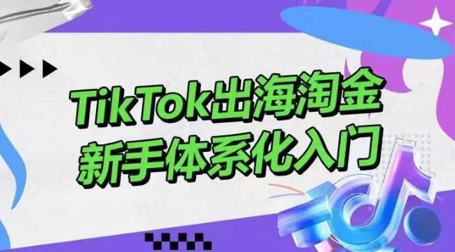 TikTok出海淘金，新手体系化入门，零基础快速入门，掌握短视频、直播带货等引流到变现的知识-赛德副业库