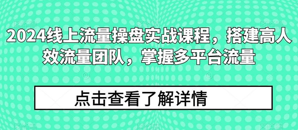 2024线上流量操盘实战课程，搭建高人效流量团队，掌握多平台流量-赛德副业库