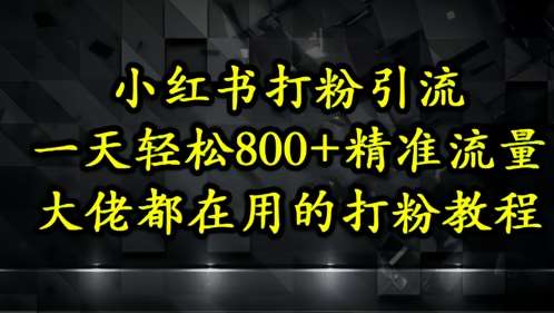 小红书打粉引流,一天轻松500+精准流量,大佬都在用的打粉教程-赛德副业库