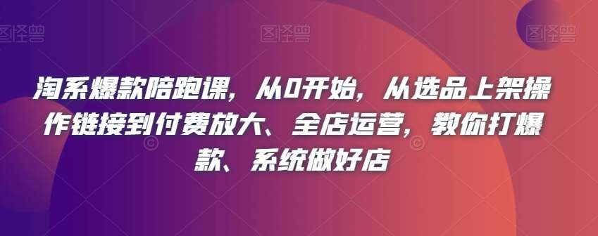 淘系爆款陪跑课，从0开始，从选品上架操作链接到付费放大、全店运营，教你打爆款、系统做好店-赛德副业库
