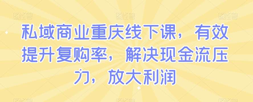 私域商业重庆线下课，有效提升复购率，解决现金流压力，放大利润-赛德副业库