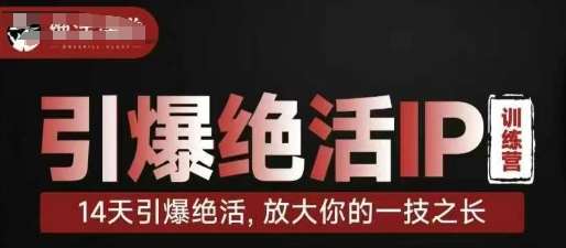 引爆绝活IP训练营，14天引爆绝活，放大你的一技之长-赛德副业库