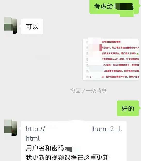 图片[2]-小彬网虚拟资源网站培训课程，如何一个月快速做出盈利的资源网站（实打实经验）-赛德副业库