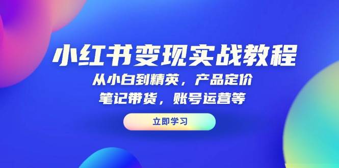 （13923期）小红书变现实战教程：从小白到精英，产品定价，笔记带货，账号运营等-赛德副业库