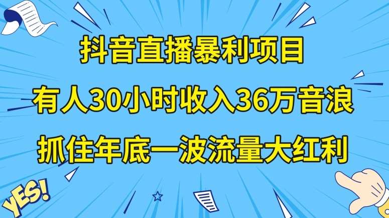 抖音直播暴利项目，有人30小时收入36万音浪，公司宣传片年会视频制作，抓住年底一波流量大红利【揭秘】-赛德副业库