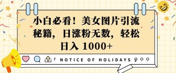 小白必看,美女图片引流秘籍,日涨粉无数,轻松日入几张【揭秘】-赛德副业库