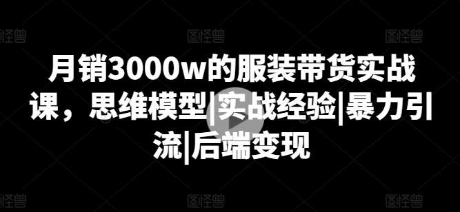 月销3000w的服装带货实战课，思维模型|实战经验|暴力引流|后端变现-赛德副业库