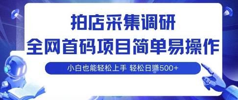 拍店采集调研,全网首码项目,简单易操作, 小白也能轻松上手,多账号操作,轻松日入5张【揭秘】-赛德副业库
