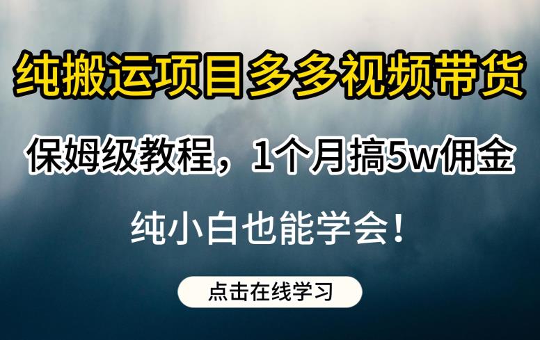 纯搬运项目多多视频带货保姆级教程，1个月搞5w佣金，纯小白也能学会【揭秘】-赛德副业库
