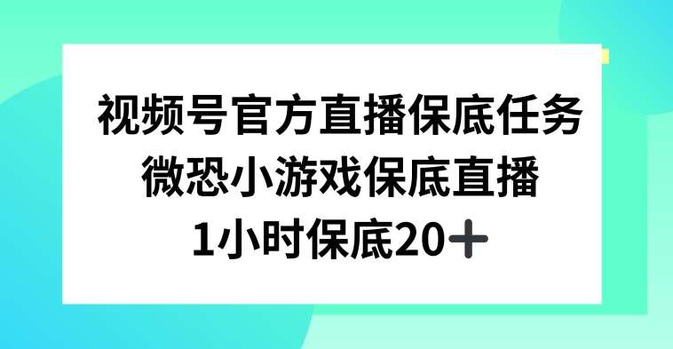 视频号直播任务，微恐小游戏，1小时20+【揭秘】-赛德副业库