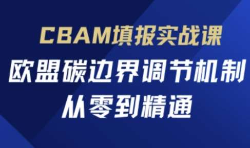 CBAM填报实战课,欧盟碳边界调节机制,从零到精通-赛德副业库