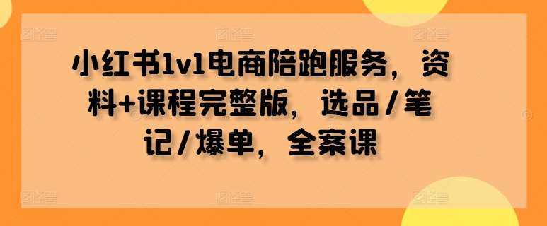 小红书1v1电商陪跑服务，资料+课程完整版，选品/笔记/爆单，全案课-赛德副业库