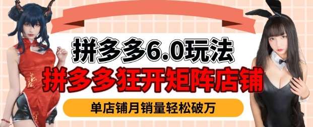 拼多多虚拟商品暴利6.0玩法，轻松实现月入过W-赛德副业库