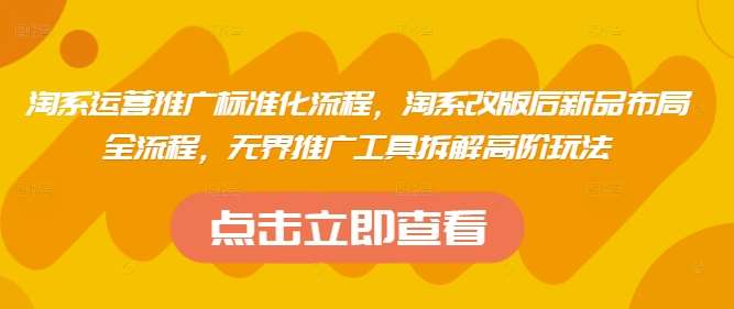 淘系运营推广标准化流程,淘系改版后新品布局全流程,无界推广工具拆解高阶玩法-赛德副业库