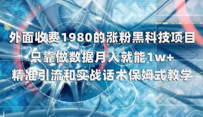 外面收费1980的涨粉黑科技项目，只靠做数据月入就能1w+【揭秘】-赛德副业库
