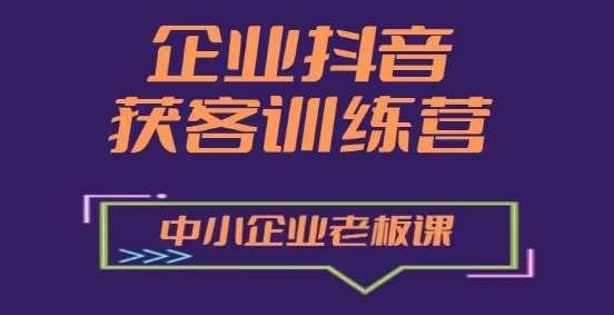 企业抖音营销获客增长训练营，中小企业老板必修课-赛德副业库