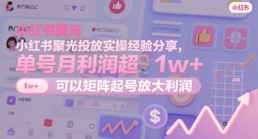 小红书聚光投放实操经验分享，单号月利润超1w+，可以矩阵起号放大利润-赛德副业库