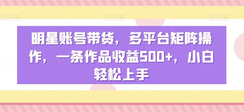 明星账号带货，多平台矩阵操作，一条作品收益500+，小白轻松上手【揭秘】-赛德副业库