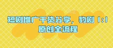 短剧推广干货分享，豹剧 1:1原创全流程-赛德副业库